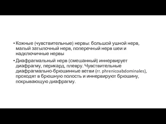 Кожные (чувствительные) нервы: большой ушной нерв, малый затылочный нерв, поперечный нерв шеи и