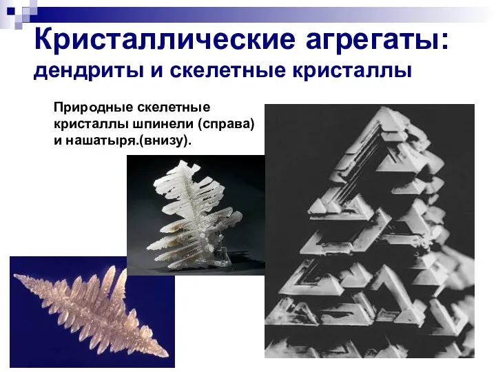 Кристаллические агрегаты: дендриты и скелетные кристаллы Природные скелетные кристаллы шпинели (справа) и нашатыря.(внизу).
