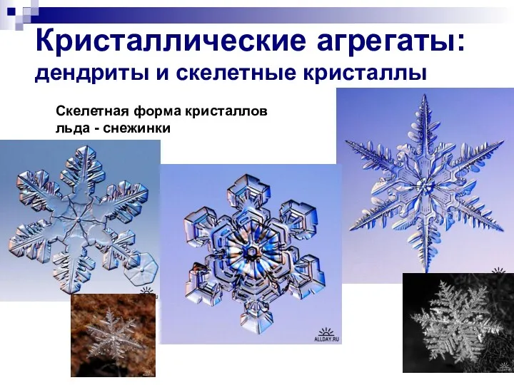 Кристаллические агрегаты: дендриты и скелетные кристаллы Скелетная форма кристаллов льда - снежинки