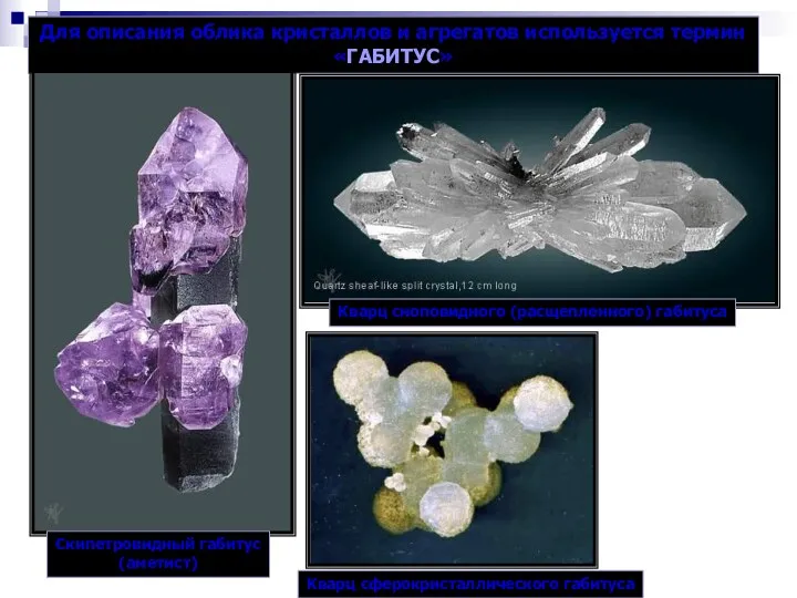 Для описания облика кристаллов и агрегатов используется термин «ГАБИТУС» Скипетровидный