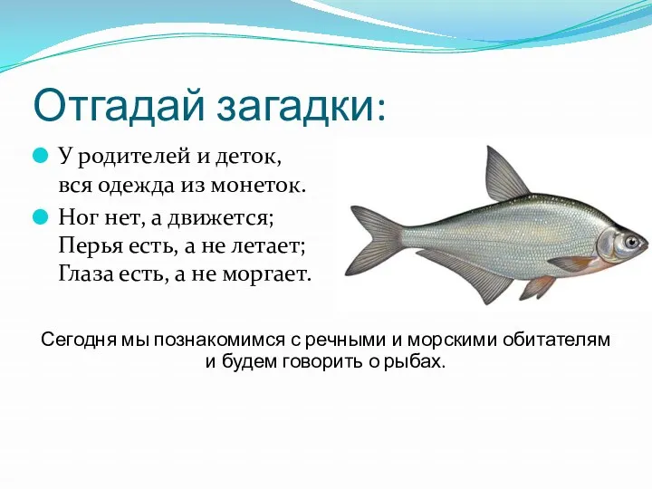 Отгадай загадки: У родителей и деток, вся одежда из монеток.