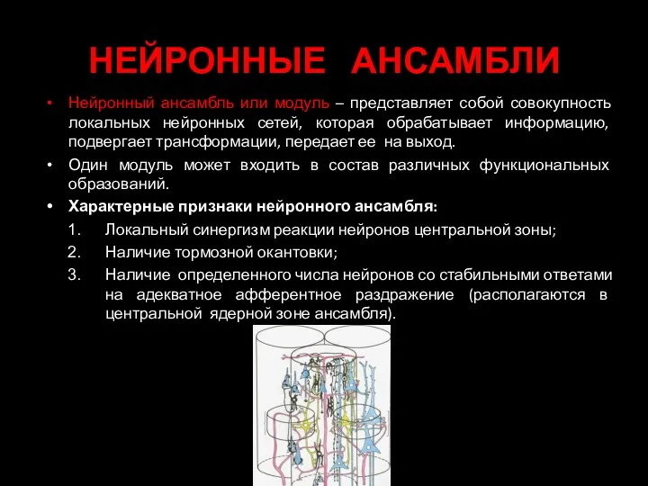 НЕЙРОННЫЕ АНСАМБЛИ Нейронный ансамбль или модуль – представляет собой совокупность