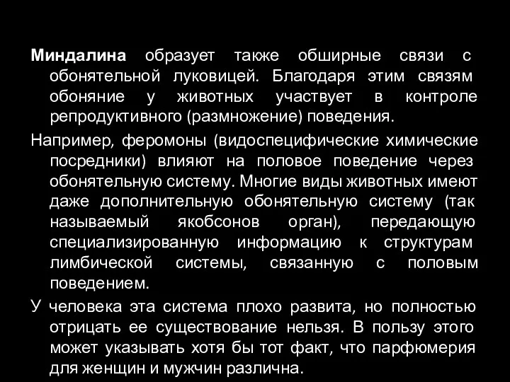 Миндалина образует также обширные связи с обонятельной луковицей. Благодаря этим