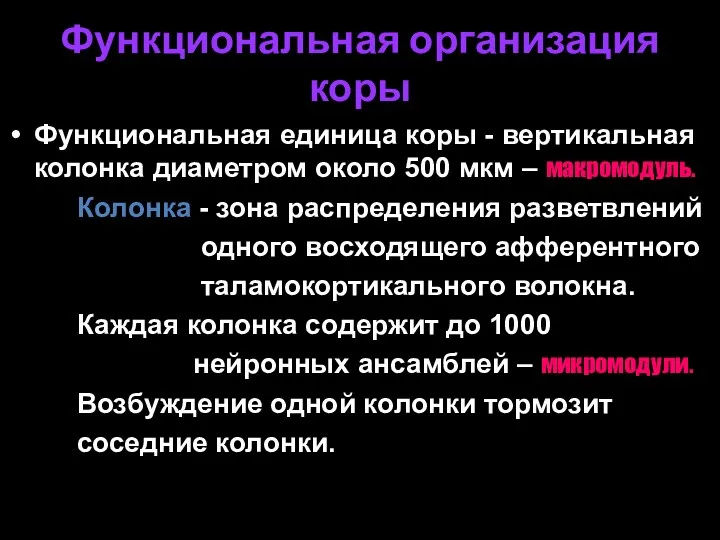 Функциональная организация коры Функциональная единица коры - вертикальная колонка диаметром