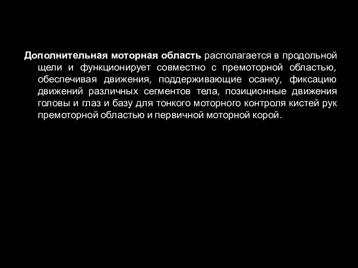 Дополнительная моторная область располагается в продольной щели и функционирует совместно