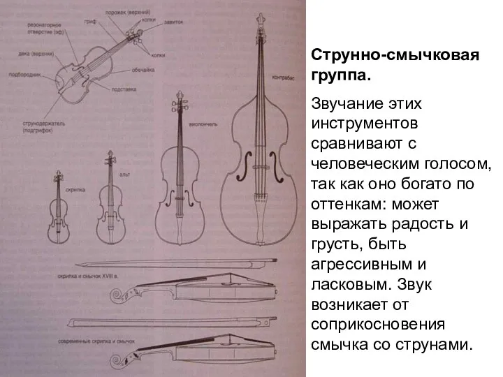 Струнно-смычковая группа. Звучание этих инструментов сравнивают с человеческим голосом, так