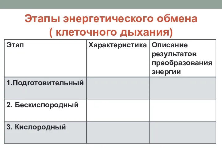 Этапы энергетического обмена ( клеточного дыхания)