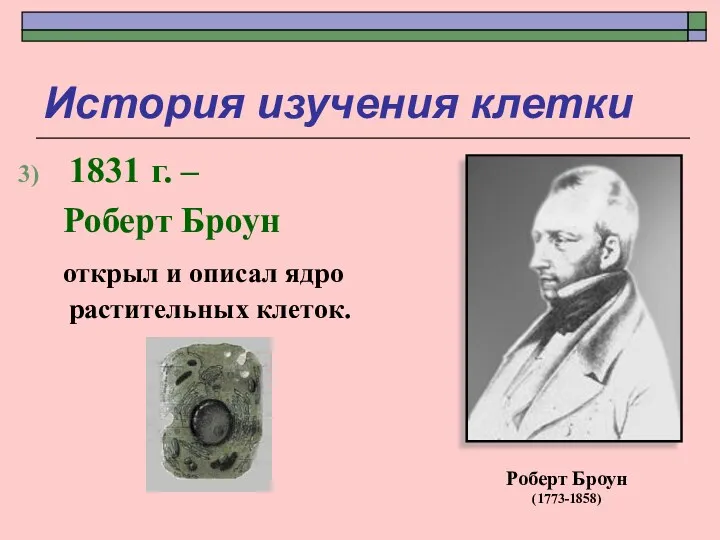 История изучения клетки 1831 г. – Роберт Броун открыл и