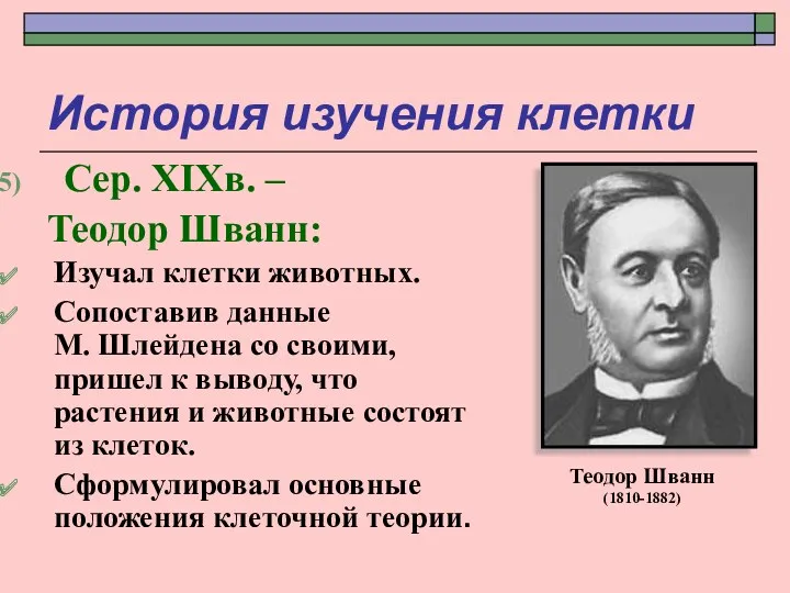 История изучения клетки Сер. XIXв. – Теодор Шванн: Изучал клетки