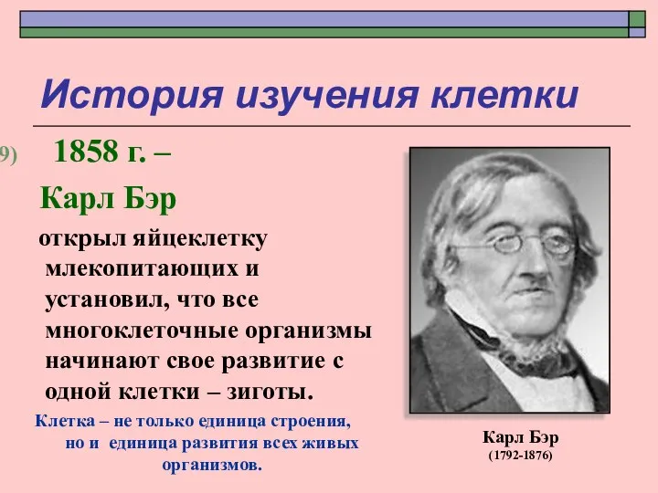 История изучения клетки 1858 г. – Карл Бэр открыл яйцеклетку