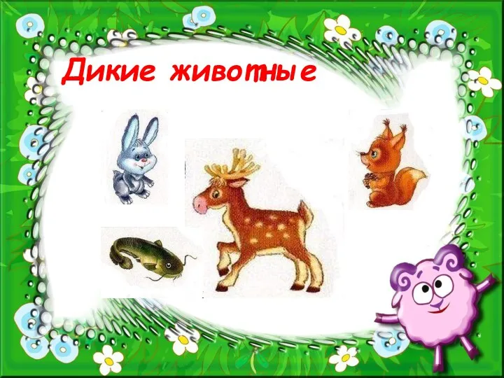 Дикие животные