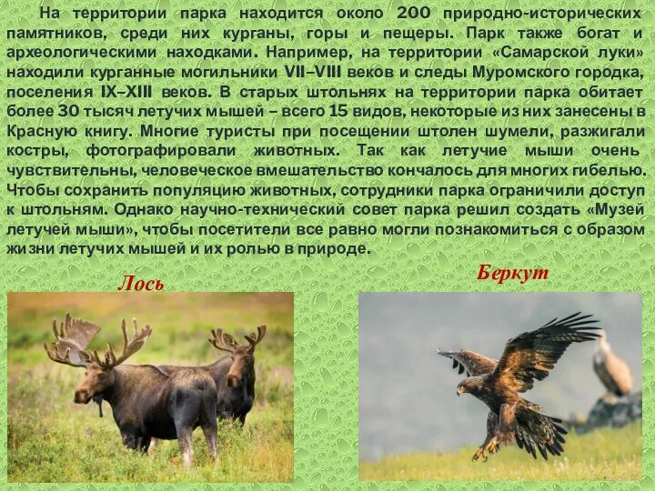 На территории парка находится около 200 природно-исторических памятников, среди них