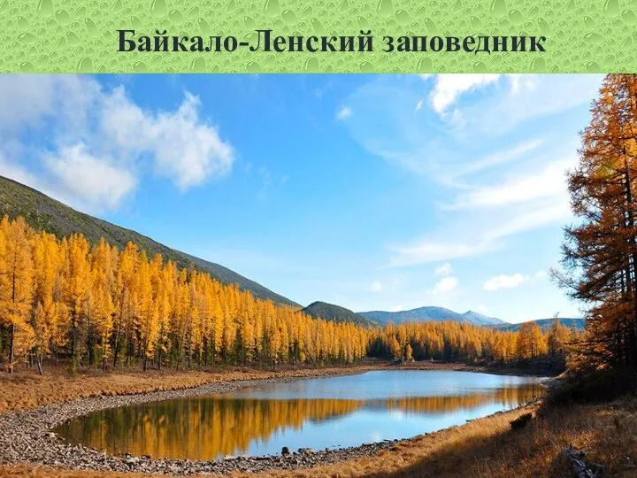 Байкало-Ленский заповедник