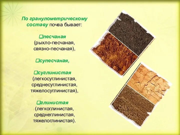 По гранулометрическому составу почва бывает: песчаная (рыхло-песчаная, связно-песчаная), супесчаная, суглинистая