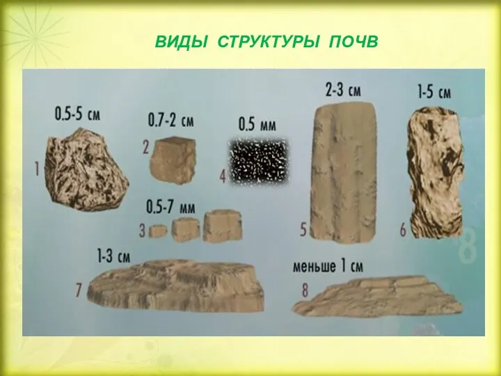 ВИДЫ СТРУКТУРЫ ПОЧВ