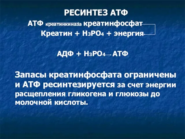 РЕСИНТЕЗ АТФ АТФ креатинкиназа креатинфосфат Креатин + Н3РО4 + энергия