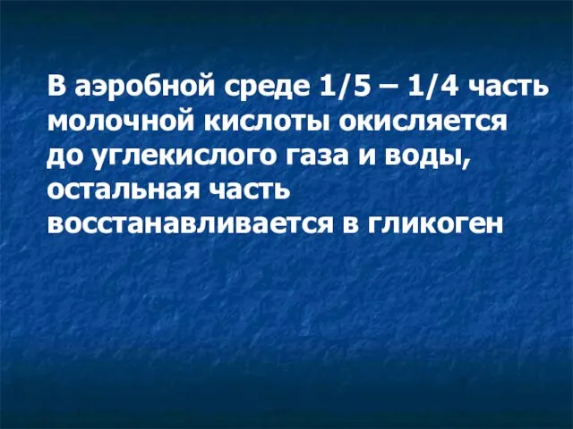 В аэробной среде 1/5 – 1/4 часть молочной кислоты окисляется