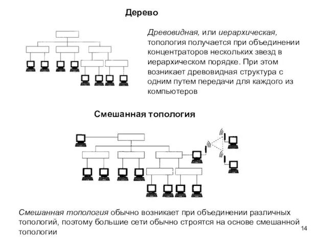 Древовидная, или иерархическая, топология получается при объединении концентраторов нескольких звезд