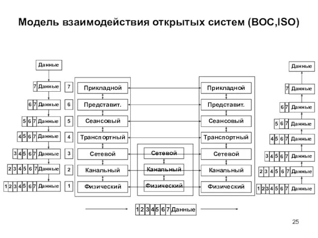 Сетевой Канальный Физический Прикладной Представит. Сеансовый Транспортный Сетевой Канальный Физический