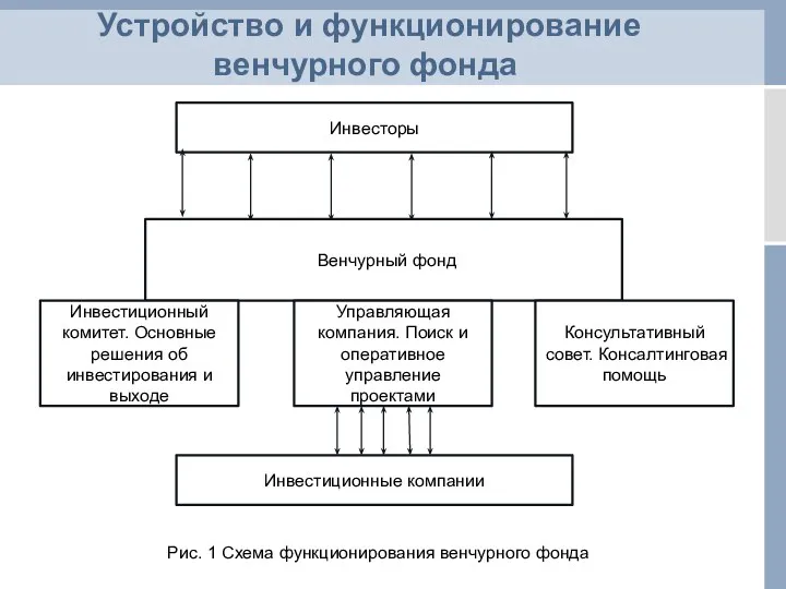 Устройство и функционирование венчурного фонда Инвесторы Венчурный фонд Инвестиционный комитет.