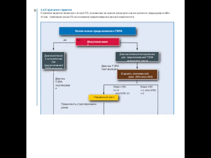 5.6 Стратегии терапии Стратегия ведения пациента с острой ЛЭ, основанная