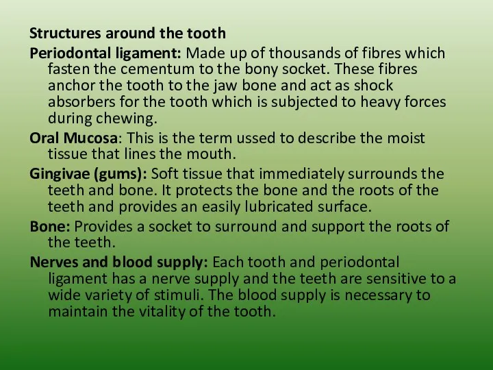 Structures around the tooth Periodontal ligament: Made up of thousands