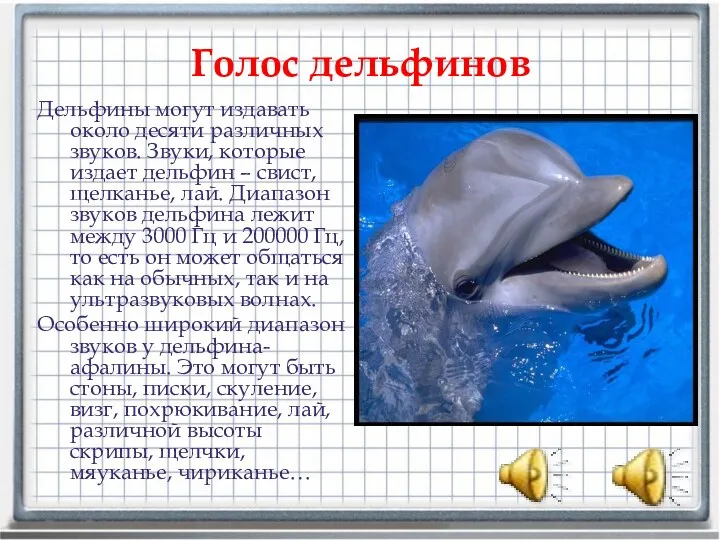 Голос дельфинов Дельфины могут издавать около десяти различных звуков. Звуки, которые издает дельфин