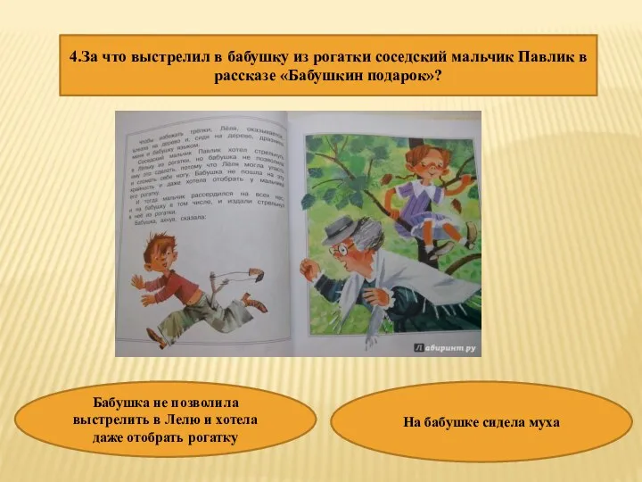 4.За что выстрелил в бабушку из рогатки соседский мальчик Павлик