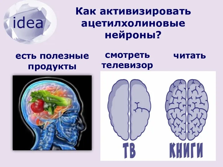 Как активизировать ацетилхолиновые нейроны? есть полезные продукты смотреть телевизор читать