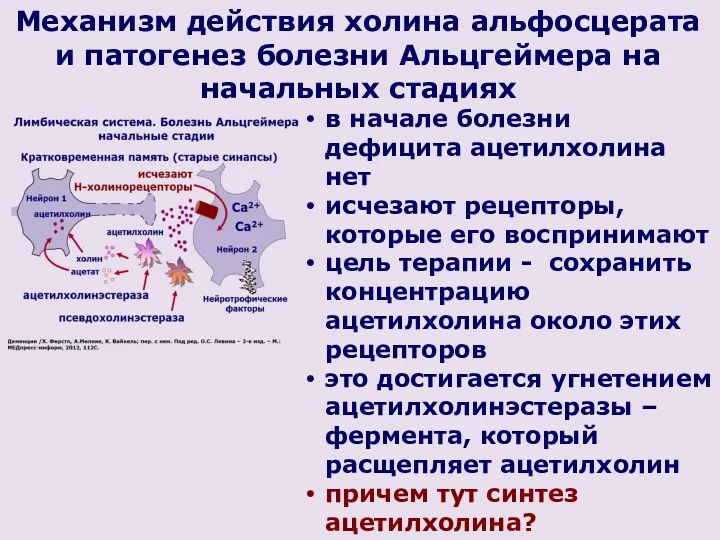 в начале болезни дефицита ацетилхолина нет исчезают рецепторы, которые его