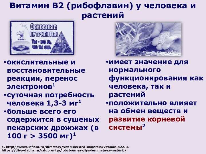 окислительные и восстановительные реакции, перенос электронов1 суточная потребность человека 1,3-3 мг1 больше всего