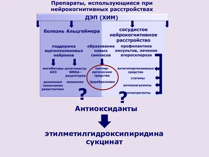 Антиоксиданты ? ? этилметилгидроксипиридина сукцинат