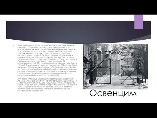 Механизмом осуществления Холокоста стали лагеря смерти, созданные фашистами для физического