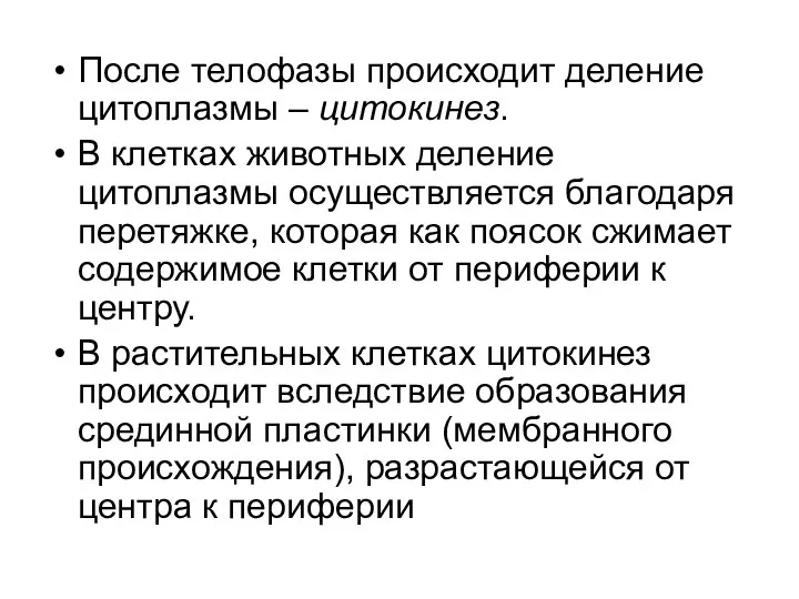 После телофазы происходит деление цитоплазмы – цитокинез. В клетках животных