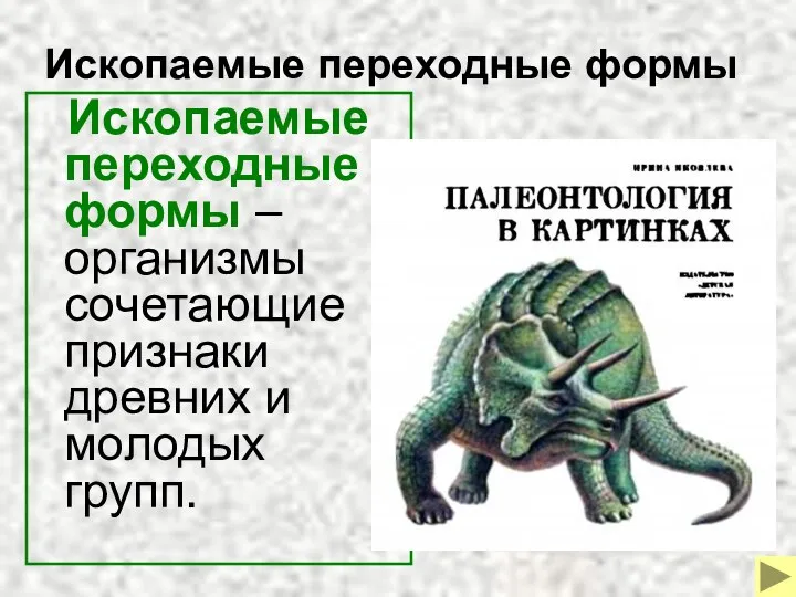 Ископаемые переходные формы Ископаемые переходные формы –организмы сочетающие признаки древних и молодых групп.