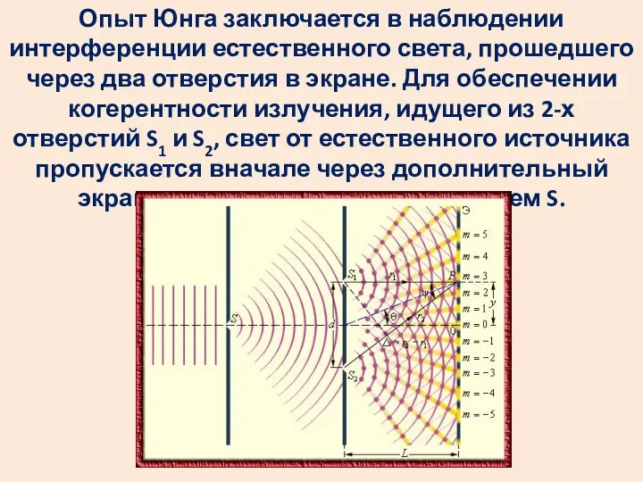 Опыт Юнга заключается в наблюдении интерференции естественного света, прошедшего через