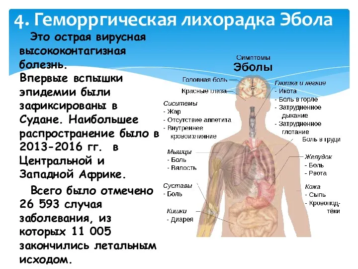 Это острая вирусная высококонтагизная болезнь. Впервые вспышки эпидемии были зафиксированы