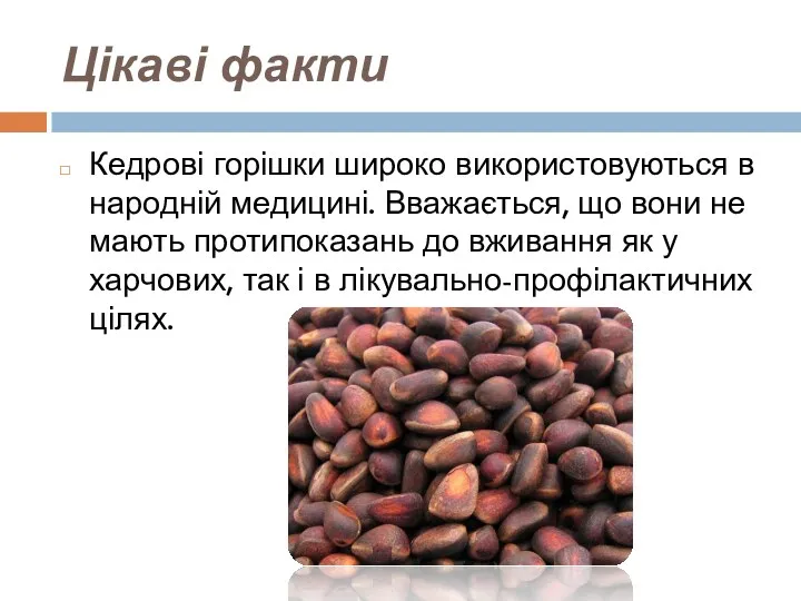 Цікаві факти Кедрові горішки широко використовуються в народній медицині. Вважається,