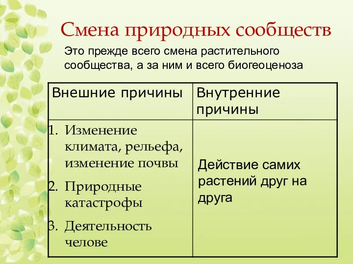 Смена природных сообществ Это прежде всего смена растительного сообщества, а