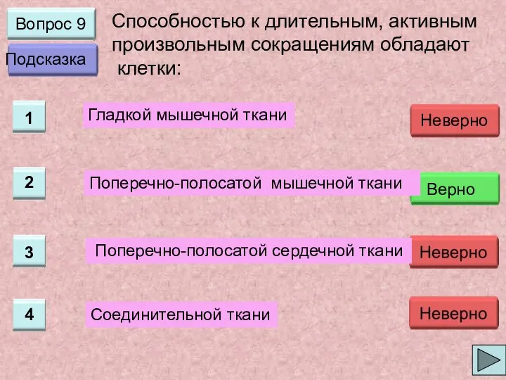 Вопрос 9 Способностью к длительным, активным произвольным сокращениям обладают клетки: