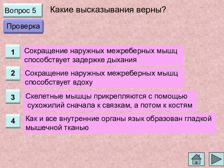 Вопрос 5 Какие высказывания верны? Сокращение наружных межреберных мышц способствует