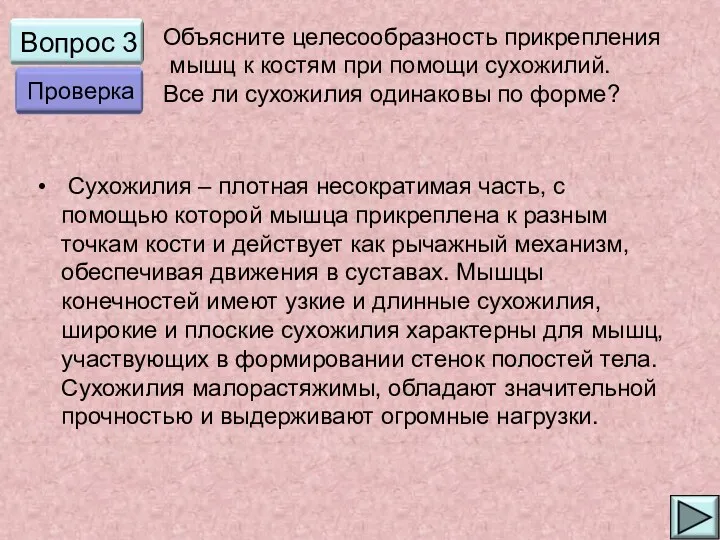 Вопрос 3 Сухожилия – плотная несократимая часть, с помощью которой