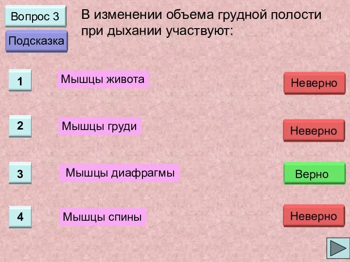 Вопрос 3 В изменении объема грудной полости при дыхании участвуют: