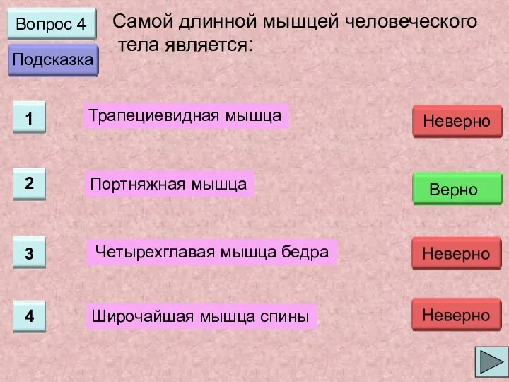 Вопрос 4 Самой длинной мышцей человеческого тела является: Трапециевидная мышца