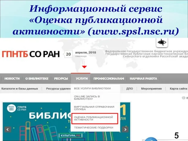Информационный сервис «Оценка публикационной активности» (www.spsl.nsc.ru) 5