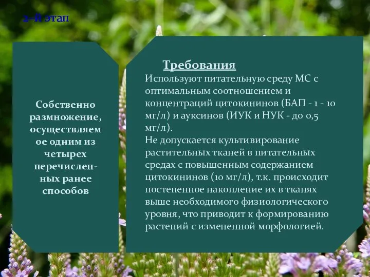 2–й этап Собственно размножение, осуществляемое одним из четырех перечислен-ных ранее