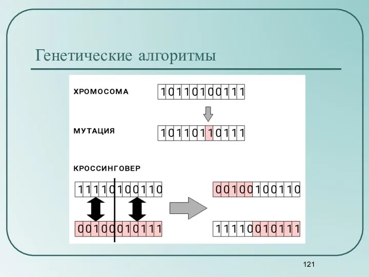 Генетические алгоритмы