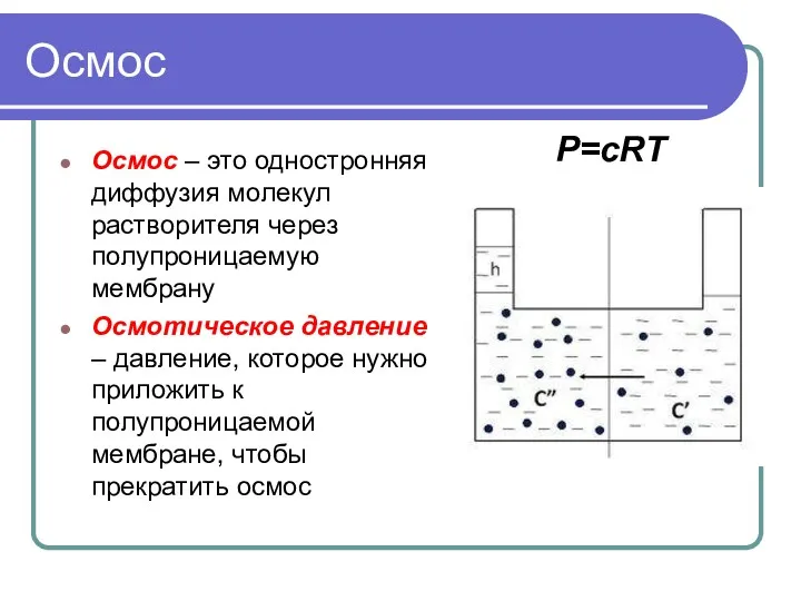 Осмос Осмос – это одностронняя диффузия молекул растворителя через полупроницаемую