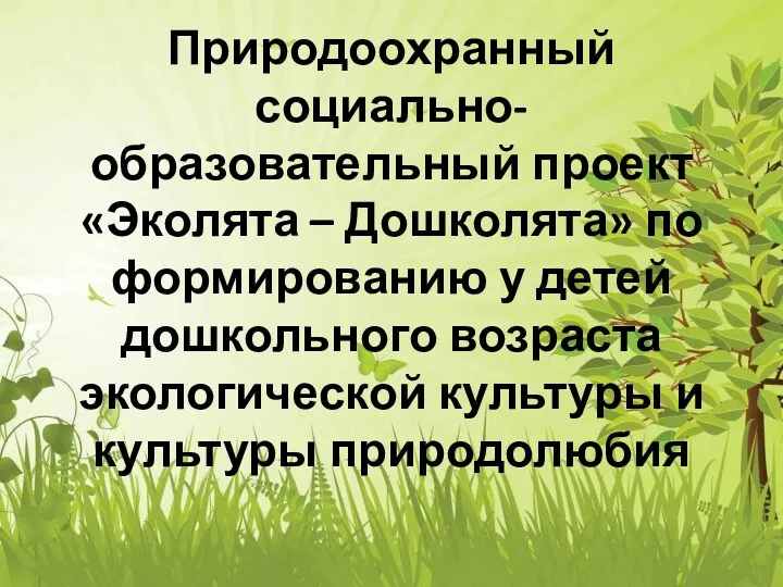 Природоохранный социально-образовательный проект «Эколята – Дошколята» по формированию у детей