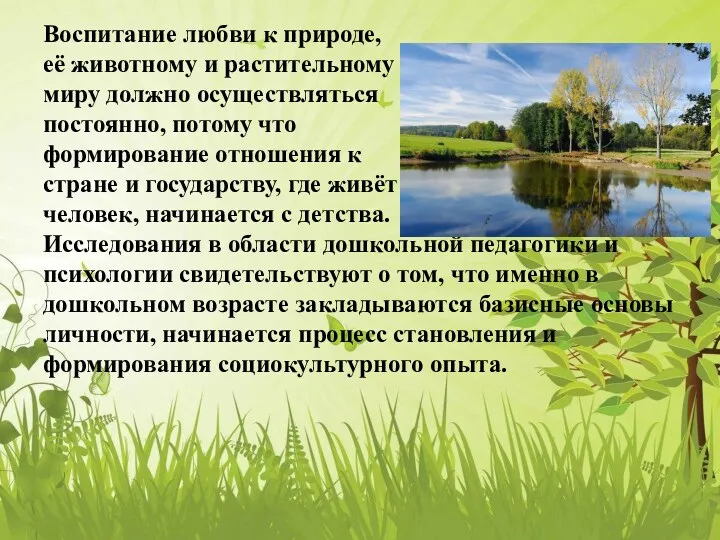 Воспитание любви к природе, её животному и растительному миру должно